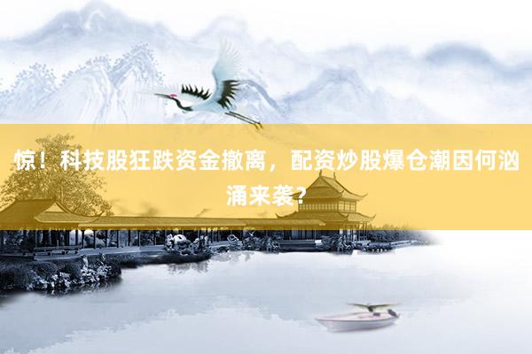 惊！科技股狂跌资金撤离，配资炒股爆仓潮因何汹涌来袭？
