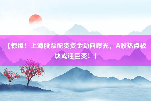 【惊爆！上海股票配资资金动向曝光，A股热点板块或迎巨变！】
