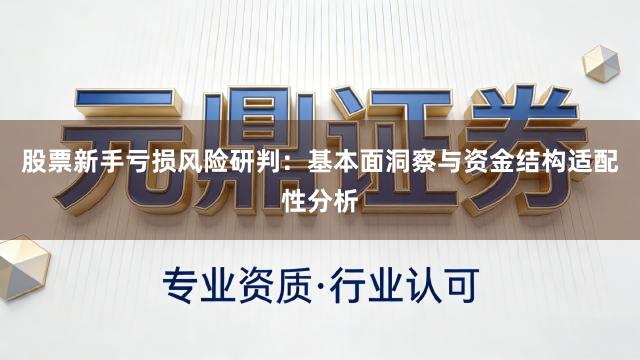 股票新手亏损风险研判：基本面洞察与资金结构适配性分析