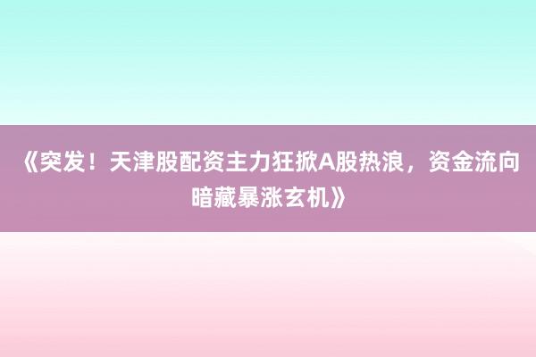 《突发！天津股配资主力狂掀A股热浪，资金流向暗藏暴涨玄机》