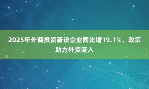 2025年外商投资新设企业同比增19.1%，政策助力外资流入