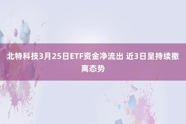 北特科技3月25日ETF资金净流出 近3日呈持续撤离态势