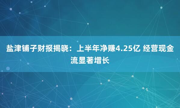 盐津铺子财报揭晓：上半年净赚4.25亿 经营现金流显著增长