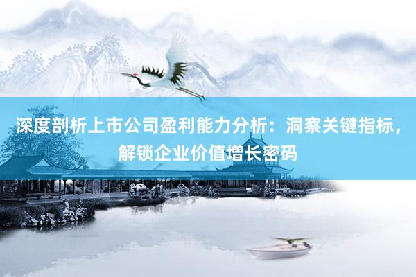 深度剖析上市公司盈利能力分析：洞察关键指标，解锁企业价值增长密码