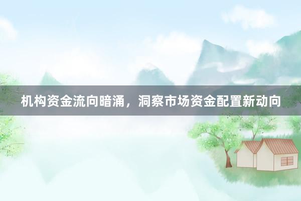 机构资金流向暗涌，洞察市场资金配置新动向