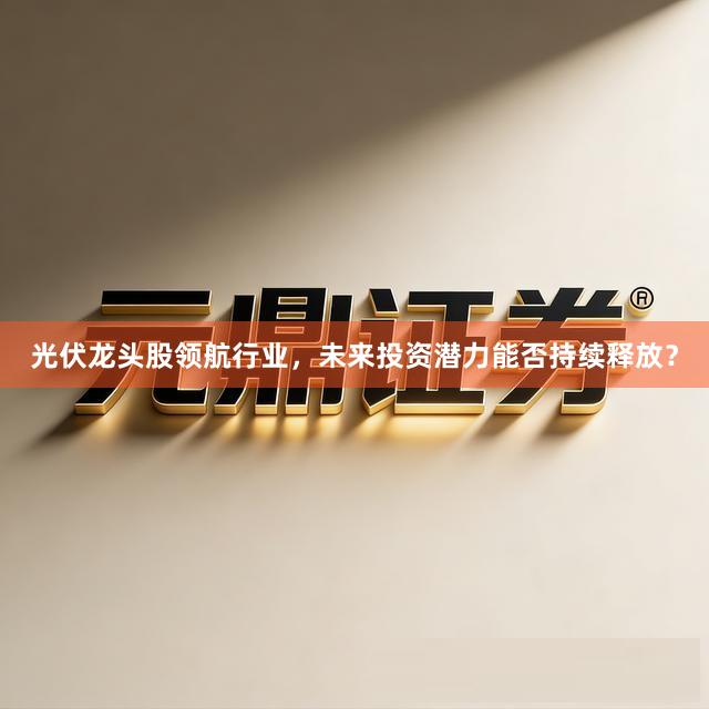 光伏龙头股领航行业，未来投资潜力能否持续释放？