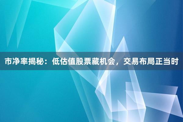 市净率揭秘：低估值股票藏机会，交易布局正当时
