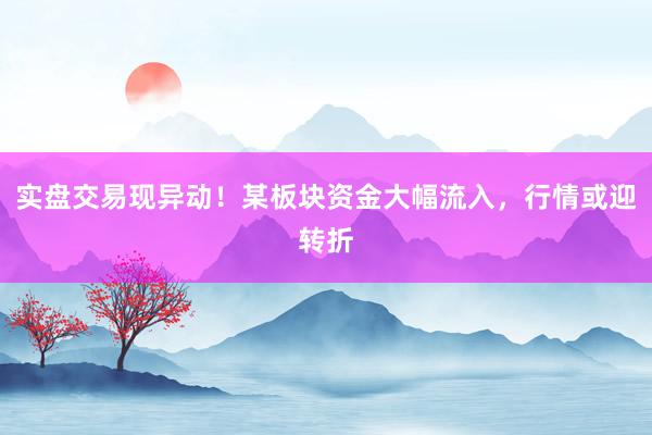实盘交易现异动!某板块资金大幅流入,行情或迎转折