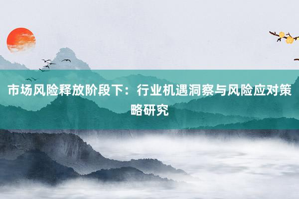 市场风险释放阶段下:行业机遇洞察与风险应对策略研究