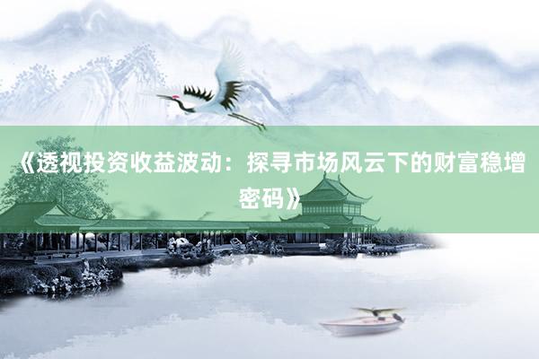《透视投资收益波动：探寻市场风云下的财富稳增密码》